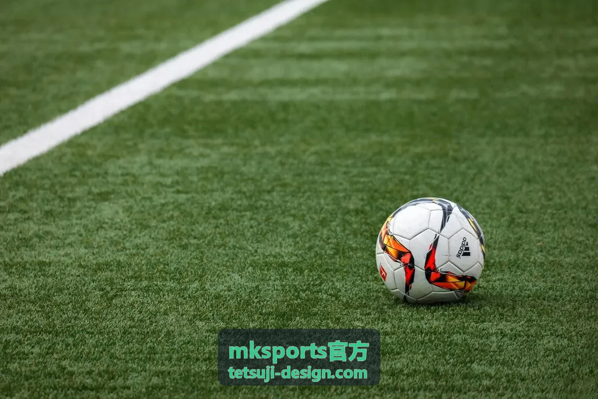 mksports官方 场馆设施信息