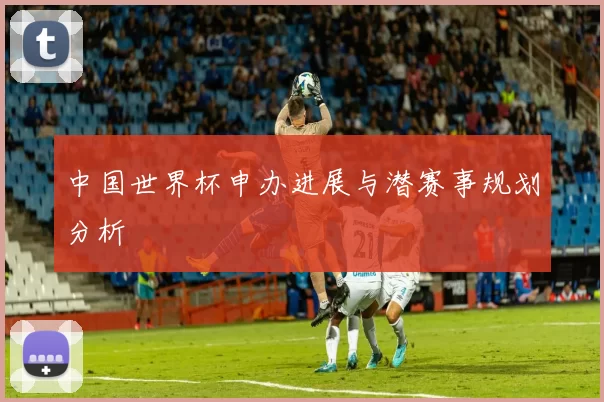 中国世界杯申办进展与潜赛事规划分析