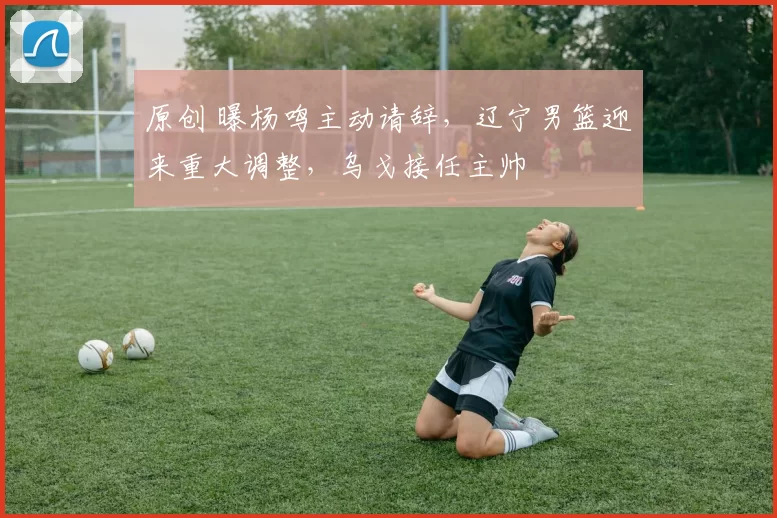 原创 曝杨鸣主动请辞,辽宁男篮迎来重大调整,乌戈接任主帅