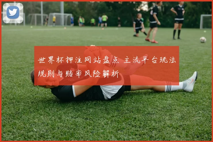 世界杯押注网站盘点 主流平台玩法规则与赔率风险解析