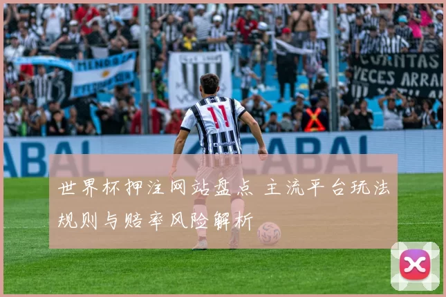 世界杯押注网站盘点 主流平台玩法规则与赔率风险解析
