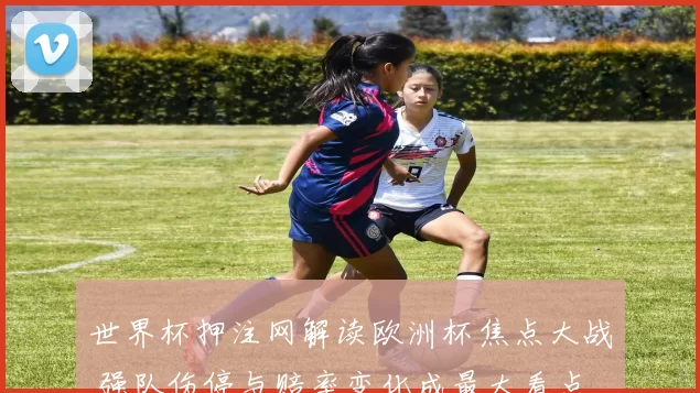 世界杯押注网解读欧洲杯焦点大战 强队伤停与赔率变化成最大看点