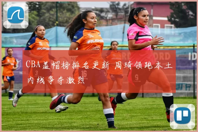CBA盖帽榜排名更新 周琦领跑本土内线争夺激烈