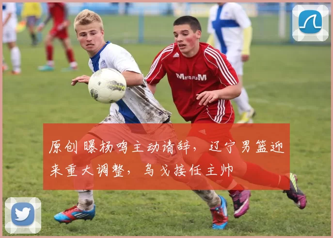 原创 曝杨鸣主动请辞,辽宁男篮迎来重大调整,乌戈接任主帅